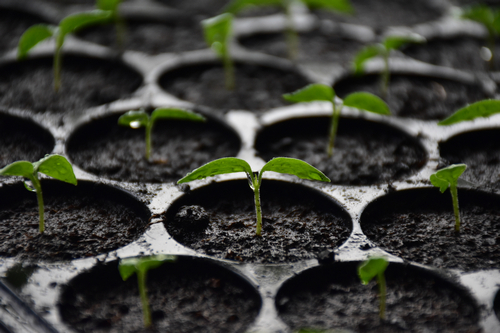 New Security Token Exchange ABE Wants to Bring Back Small-Cap IPOs