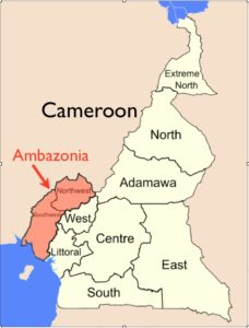 Separatist Movement, in Cameroon Promotes, an ICO, to Support its Cause
