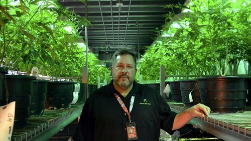 The best border wall is a legal marijuana market