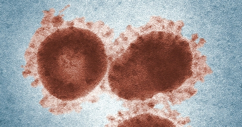 This App Tracks the Impact of Your Donation to Combat Coronavirus