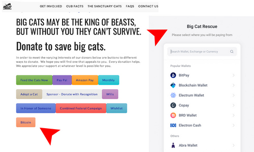 Tiger King's Archnemesis Big Cat Rescue Accepts Bitcoin