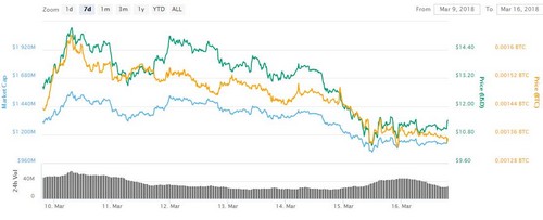 VEN, BNB, NEM: Lesser-Known Cryptos Outperform Amid Bitcoin Slump