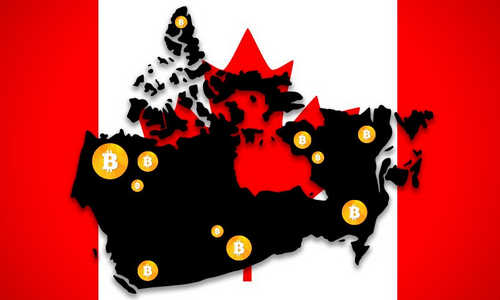 The Curious Case Of Bunz